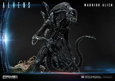 Warrior Alien (Regular Version) Aliens (Comics) – Prime1Studio – ActionFigure Brasil