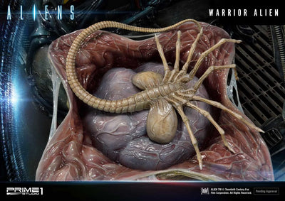 Warrior Alien (Regular Version) Aliens (Comics) – Prime1Studio – ActionFigure Brasil