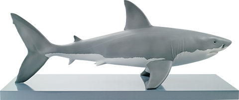 White Shark – Lladró – ActionFigure Brasil