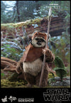 Wicket [HOT TOYS]