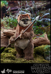 Wicket [HOT TOYS]