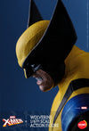 Wolverine (HS01)