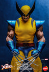 Wolverine (HS01)