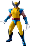 Wolverine (HS01)