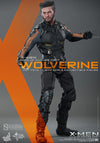 Wolverine [HOT TOYS]