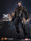 Wolverine (Limited Edition) [HOT TOYS] (Expresso)