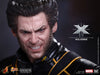 Wolverine (Limited Edition) [HOT TOYS] (Expresso)