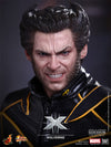 Wolverine (Limited Edition) [HOT TOYS] (Expresso)