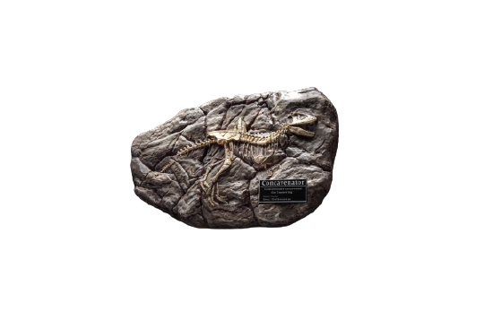 Wonders of the Wild Series - Concavenator - Fossil Replica (Star Ace Toys)ㅤ – Star Ace Toys – ActionFigureBrasil