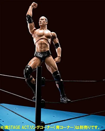 WWE - The Rock - S.H.Figuarts (Bandai)ㅤ – Bandai – ActionFigure Brasil — close