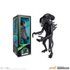 Xenomorph Matte Black 18in