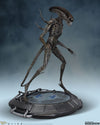 Xenomorph - LIMITED EDITION: 500 - ActionFigure Brasil