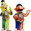 XXRAY Plus: Bert & Ernie - ActionFigure Brasil