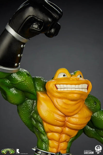 Zitz: Rare Cover Art - LIMITED EDITION: 350 (Zitz: Rare Cover Art) – PCS – ActionFigure Brasil — com base expositora